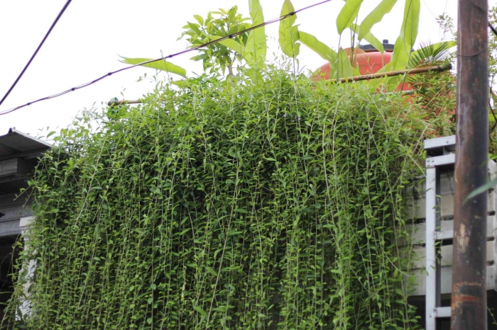 Input sumber gambar dokumen pribadi Januari 2024