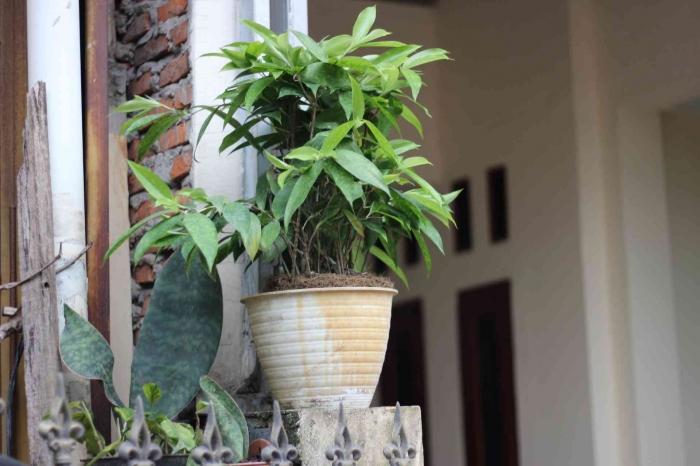 Input sumber gambar dokumen ppribadi Januari 2024