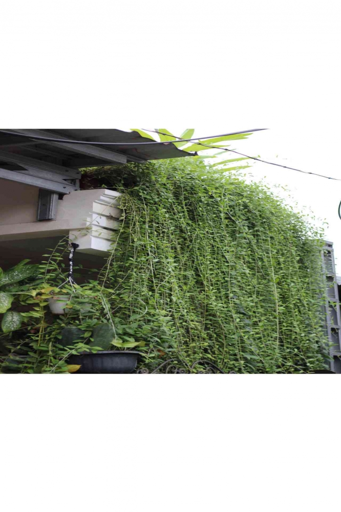 Input sumber gambar dokumen pribadi Januari 2024