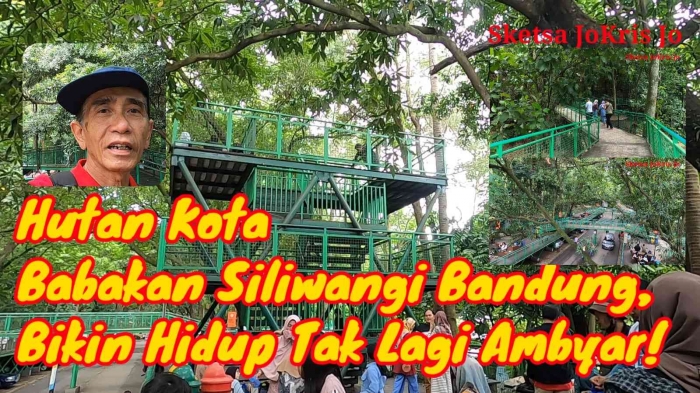 Sumber : J.Krisnomo