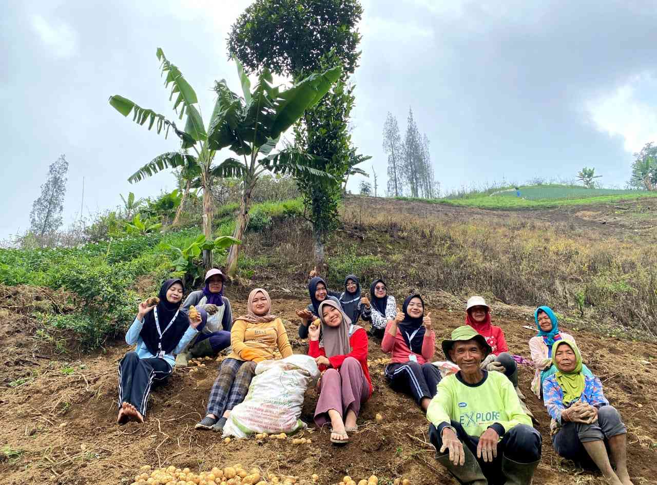 Mahasiswa KKM 74 UIN Malang Membantu Para Petani Dalam Melakukan Panen ...