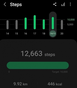 Target 10.000 langkah sehari | Sumber: aplikasi Health pribadi