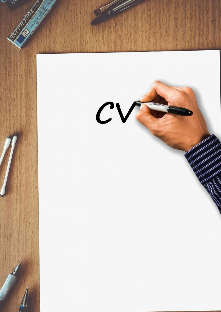 Pembuatan CV (Sumber: Pixabay.com/Tumisu)