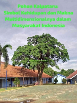 Pohon kalpataru tumbuh subur dan kokoh di SMK Angkasa 1 Jakarta sangat indah mempesona (Dok. Pribadi)