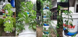 Praktek Vertikultur Sayur-sayuran di Kota Medan (Sumber Hartopo 2023)