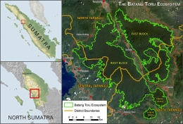 Eko Sistem Batangtoru habitat Pongotapanuliensis sekarang. Foto: news.mongabay.com