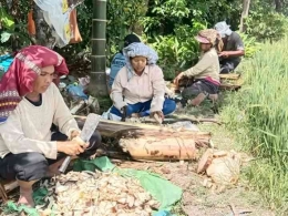 Dokpri: Petani perempuan praktek membuat pupuk organik dari bahan batang pisang, Desa Panombean, Kab.SImalungun, Serdang Bedagai 