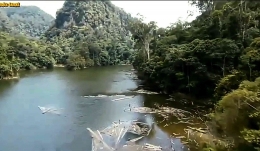 Hutan tepi sungai di Batangtoru river dimana Pongotapanuliensis berada. Foto: news.mongabay.com
