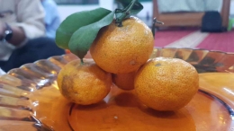 Jeruk Santang Kuning (Sumber Gambar: Dokpri) 
