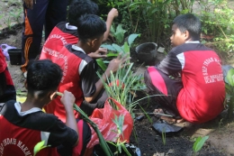 Foto kegiatan pemilihan bibit unggul tanaman TOSA untuk kegiatan  menanam di lahan basah bersama siswa. Sumber : SMP Indah Makmur. 
