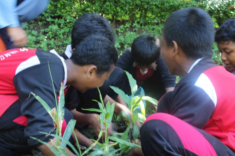 Foto kegiatan siswa menanam TOSA di kebun sekolah. Sumber : SMP Indah Makmur. 