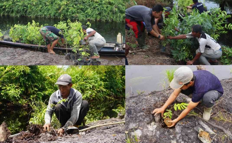 Lakukan restorasi di kawasan Hutan Desa Rantau Panjang sebagai upaya mengembalikan fungsi ekologi gambut. Foto dok.  F&F Nature Together dan YP.