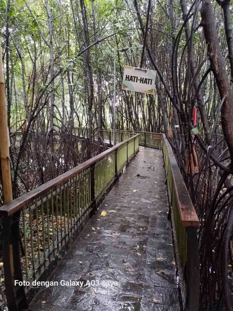 Ilustrasi jembatan cinta dikelilingi hutan mangrove. (sumber gambar: dokpri/Billy Steven Kaitjily)