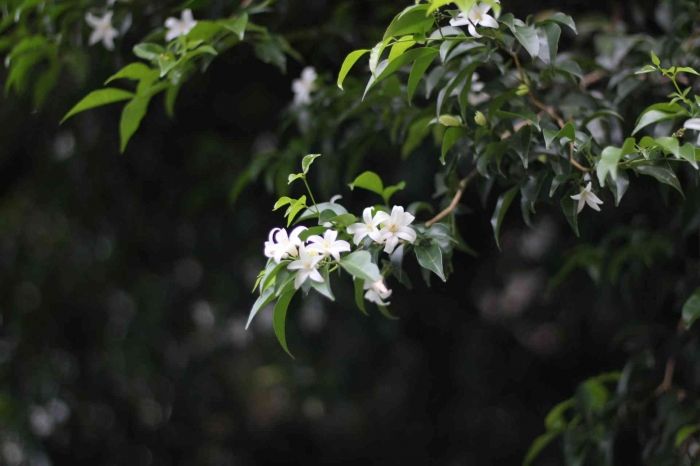 Sumber gambar dokpri