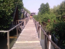 Taman Mangrove Muara Kapuk-Foto: Irvan Sjafari