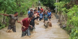 Ilustrasi Seekor ternak sedang diamankan warga karena Banjir (sumber foto: kompas.com)