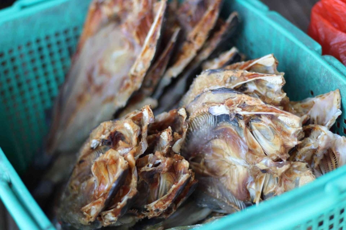 Input sumber gambar dokumen pribadi