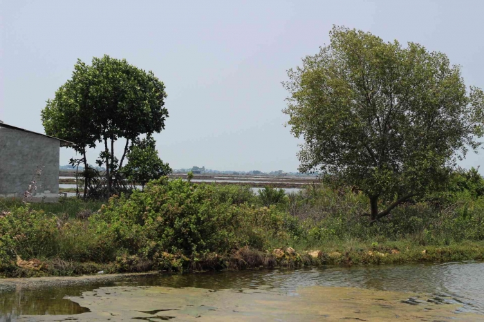 Input sumber gambar dokumen pribadi