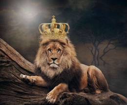 Raja Singa di Hutan Sabana (Sumber: Pixabay.com/Thomas Wolter)