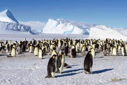 Antartika Timur. Sumber Foto: Earth .Org
