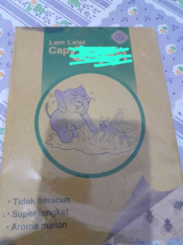 Lem lalat dapat untuk menangkap tikus (dokpri)