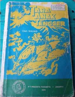 Novel Tara Anak Tengger (Dok. Pribadi)