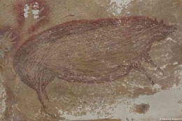 Lukisan gua Leang Tedongnge berusia 45,500 tahun. Foto dok. (Maxime Aubert) via Kompas.com