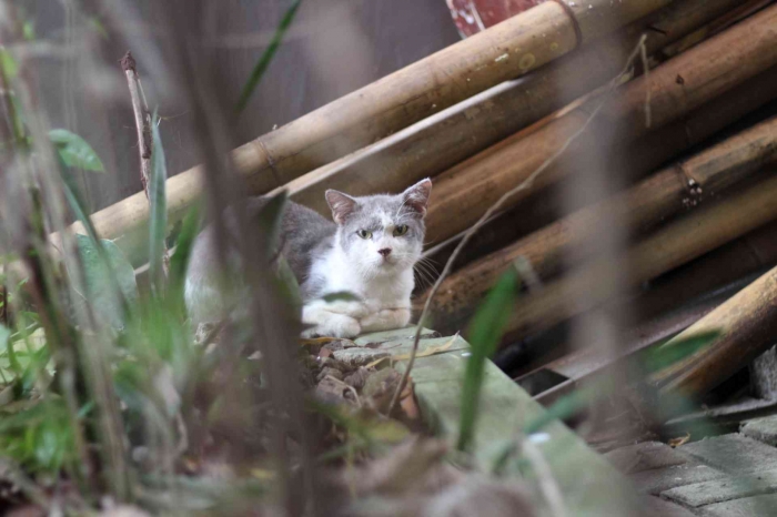 Input sumber gambar dokumen pribadi