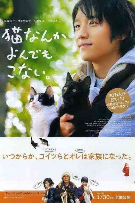 Film Jepang yang bertemakan kucing memang lebih membumi (Ilustrasi 1: Amazon.com)