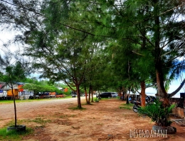 Pepohonan rindang yang berada di kawasan objek wisata Pantai Nipah-nipah, Kalimantan Timur | Sumber: Foto Desy Hani