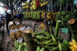 https://kompaspedia.kompas.id/baca/paparan-topik/komoditas-pisang-sejarah-jenis-manfaat-produsen-dunia-sentra-produksi-dan-ekspor-pisang-indonesia