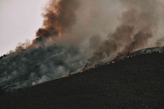 Asap hebat akibat kebakaran hutan/By Tim Mossholder/Sumber: https://www.pexels.com