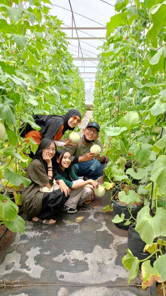 Rara dan keluarganya di dalam kebun melon Puspa Agraria (dokpri)
