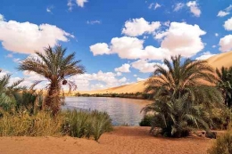 Gaberoun Oasis di Libya. (sumber: iStock)