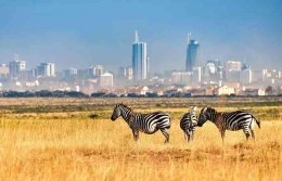 Taman Nasional Nairobi, tempat hewan liar Afrika hidup berdampingan dengan lanskap ibukota Kenya. (sumber: Nairobi National Park)