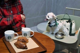 Seorang pelanggan menikmati kopi bersama anjing kecilnya. Sumber: Starbucks South Korea)
