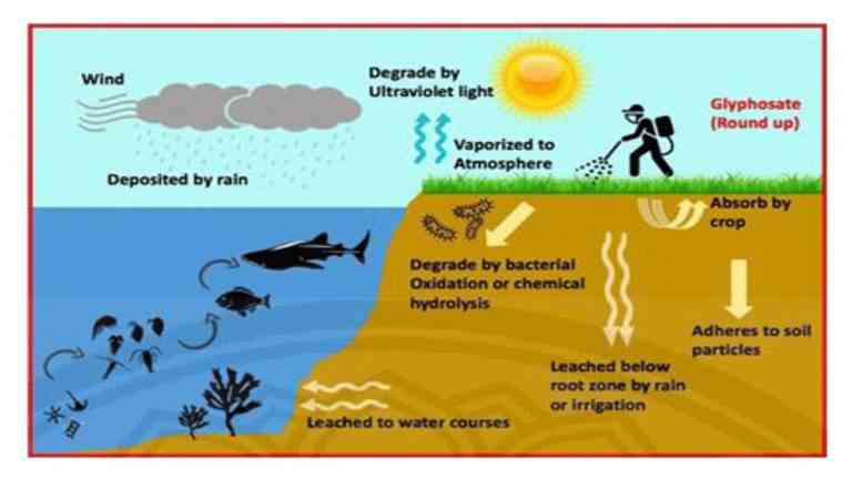 Kontaminasi Air Tanah oleh Pestisida (Sumber https://water.usgs.gov/edu/pesticidesgw.html)/Pertanian. go.id