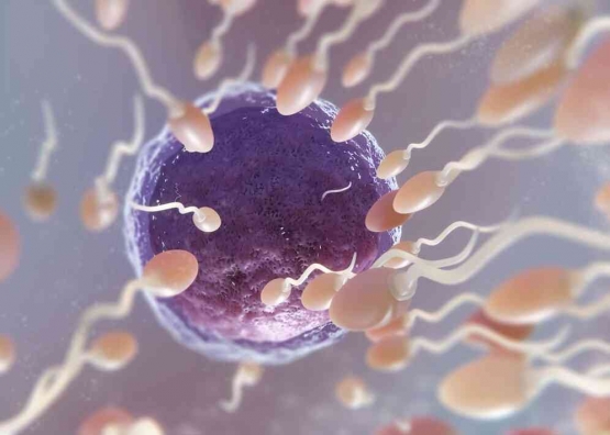 Mengeluarkan cairan sperma dengan sengaja, seperti masturbasi dan berhubungan intim adalah hal yang membatalkan puasa (Sumber Foto: Freepik.com)