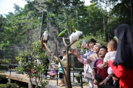 Suasana kebun binatang Bandung sekarang Foto: Bandung.go.id