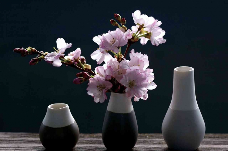 Sumber: Pixaba.com//bunga sakura