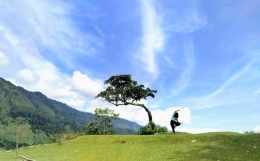 Seorang perempuan sedang menggoda pohon jomlo di Bukit Beta, Tuktuk Siadong, Pulau Samosir, Kaldera Toba (Foto: Instagram@Olin via Google Map)