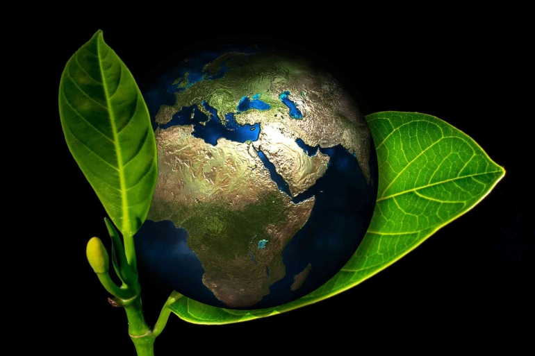 Penghijauan Bumi (Sumber: Pixabay.com/Gerd Altmann)