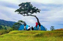Berkemah di bawah Pohon Jomlo di Bukit Beta, Tuktuk Siadong (Foto: Tribun Medan/kompas.com)