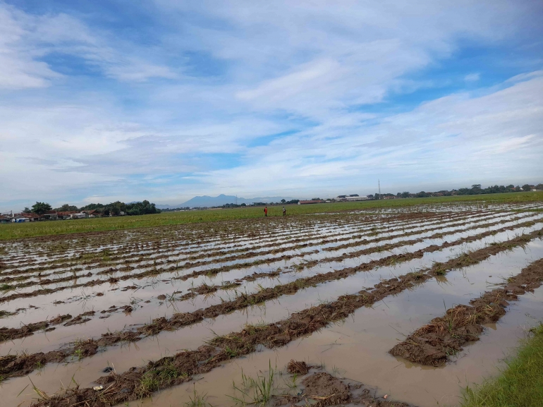 Sumber: dokumentasi pribadi