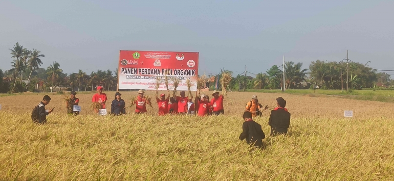 Pemkab Tabanan Buka Acara Panen Padi Nusantara 1 Juta Hektar di Subak Bengkel bersama kampus Universitas Muhammadiyah Malang