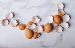 Kulit telur (Sumber: Pexels/Klaus Nielsen)