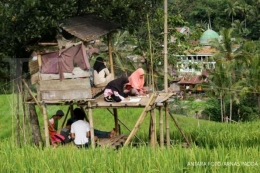 Ilustrasi: Masyarakat Desa memanfaatkan peluang dari kelancaran internet. (Antara Foto/Arnas Padda via kontan.co.id)