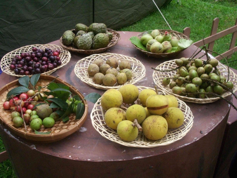 Ragam buah lokal nusantara yang sudah sulit dijumpai. Foto dokumentasi : Melani Kurnia Riswati