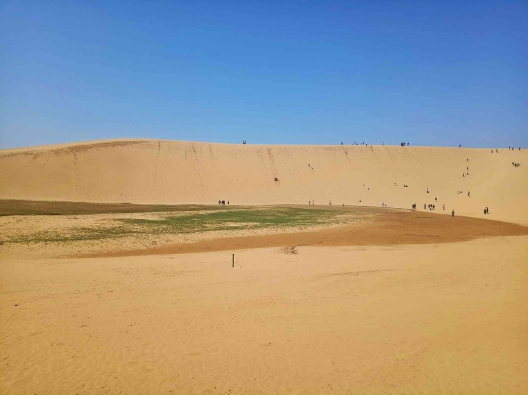 Hamparan luas bukit pasir layaknya gurun pasir. Foto:DokPri