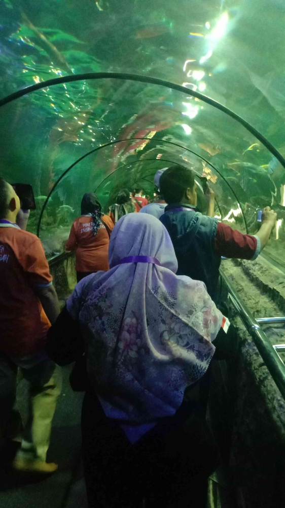 sumber gambar dokpri